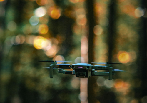 Drones for Elephants: Aerial Peacekeepers in Indian Forests