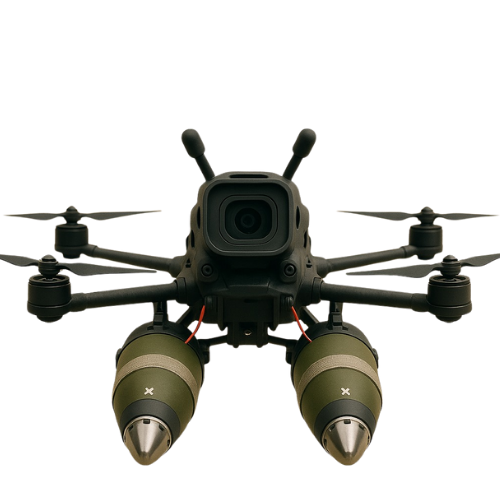 Pegasus images (1)